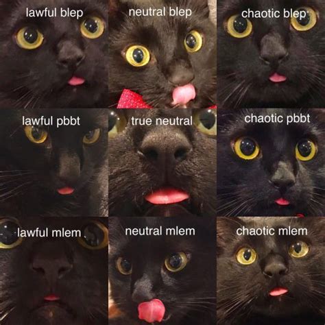 blep memes